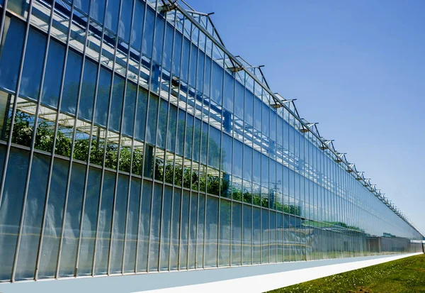 青空とモダンなガラス温室 — ストック写真