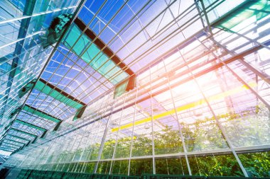 Modern sera iç. Tarım arka plan.