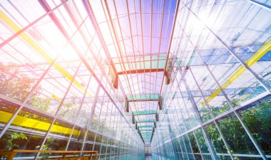 Modern sera iç. Tarım arka plan.