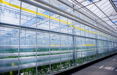 Modern sera iç. Tarım arka plan.