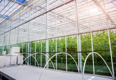 Modern sera iç. Tarım arka plan.