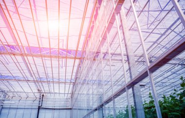 Modern sera iç. Tarım arka plan.