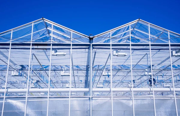 Moderne Glasgewächshäuser Gegen Den Blauen Himmel — Stockfoto