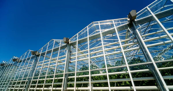 Modern Glass Greenhouses Blue Sky — Stock Photo, Image