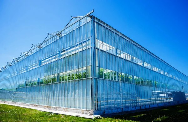 Modern cam seralar mavi gökyüzü.