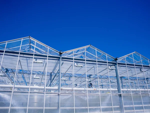 青空とモダンなガラス温室 — ストック写真