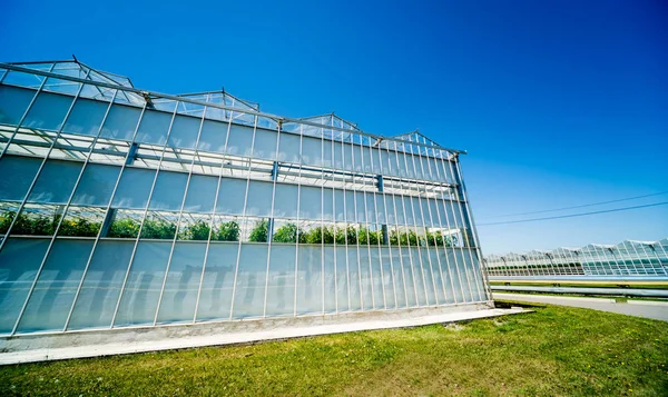Moderna Glas Växthus Mot Den Blå Himlen — Stockfoto