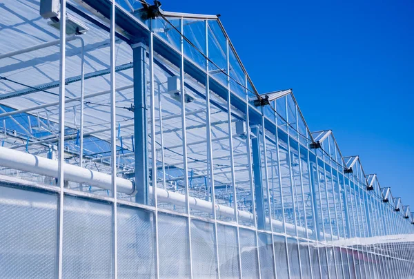 Moderna Glas Växthus Mot Den Blå Himlen — Stockfoto