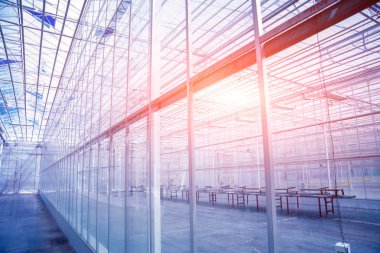 Çerçeveler modern boş sera.