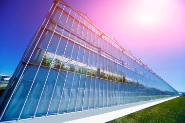 Modern cam seralar mavi gökyüzü.