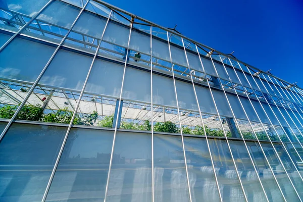 Modern cam seralar mavi gökyüzü.