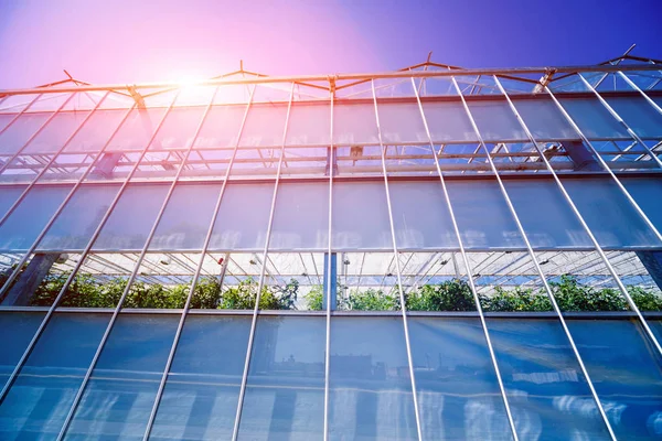 Modern cam seralar mavi gökyüzü.