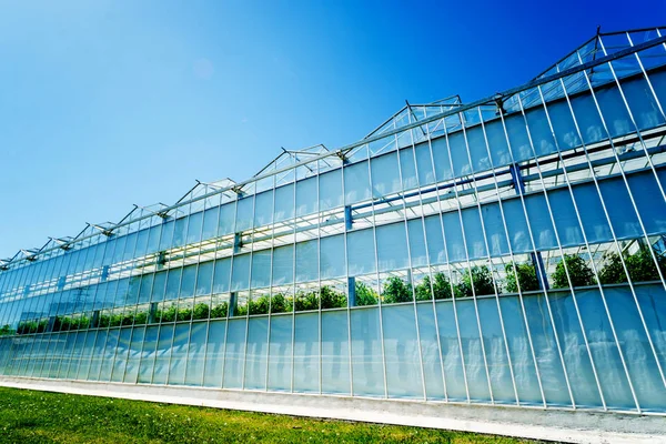 Moderna Glas Växthus Mot Den Blå Himlen — Stockfoto