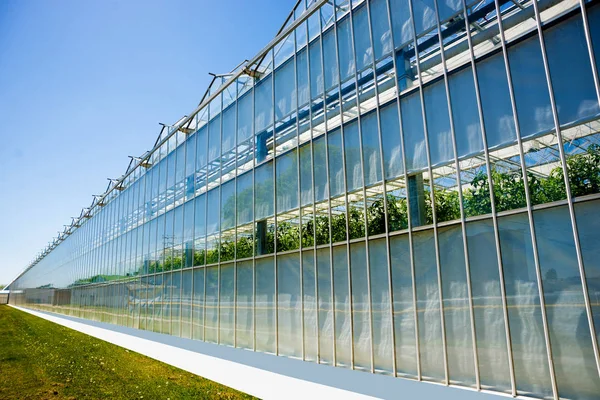 Moderna Glas Växthus Mot Den Blå Himlen — Stockfoto