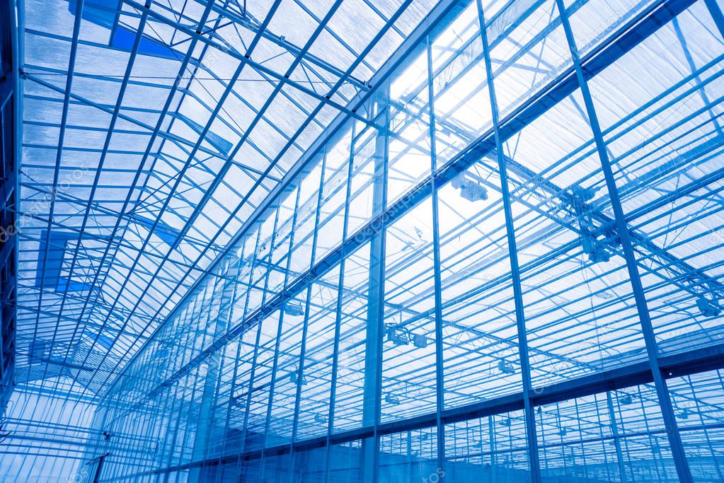 Interior of a modern greenhouse. Agricultural background.