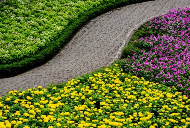 Tropikal Bahçe lüks manzara tasarımı. Güzel bir tropik bahçe manzarası.