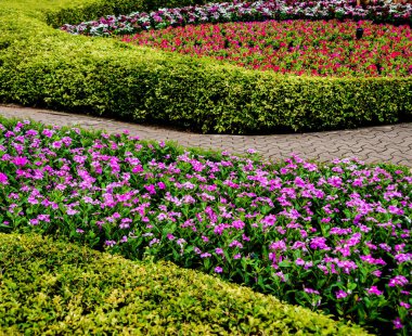 Tropikal Bahçe lüks manzara tasarımı. Güzel bir tropik bahçe manzarası.