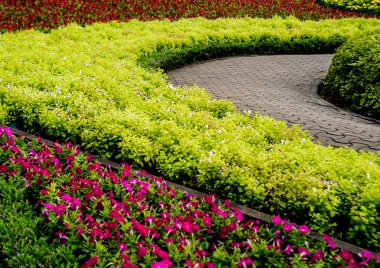 Tropikal Bahçe lüks manzara tasarımı. Güzel bir tropik bahçe manzarası.