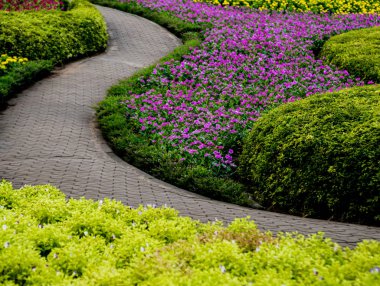 Tropikal Bahçe lüks manzara tasarımı. Güzel bir tropik bahçe manzarası.