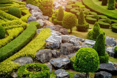 Tropikal Bahçe lüks manzara tasarımı. Güzel bir tropik bahçe manzarası.