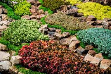 Tropikal Bahçe lüks manzara tasarımı. Güzel bir tropik bahçe manzarası.