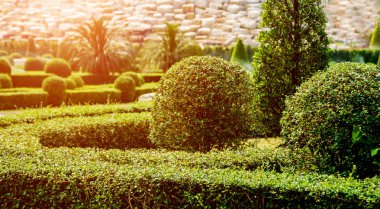 Tropikal Bahçe lüks manzara tasarımı. Güzel bir tropik bahçe manzarası.