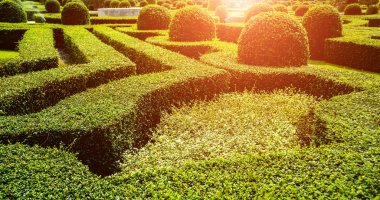 Tropikal Bahçe lüks manzara tasarımı. Güzel bir tropik bahçe manzarası.