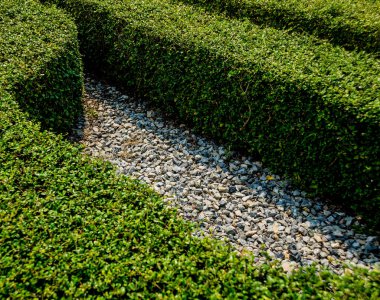 Tropikal Bahçe lüks manzara tasarımı. Güzel bir tropik bahçe manzarası.
