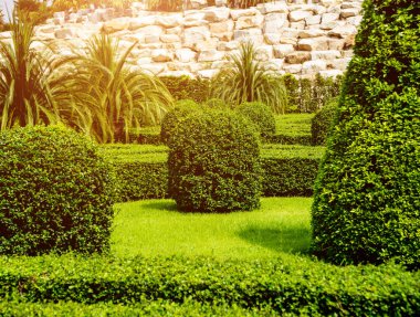 Tropikal Bahçe lüks manzara tasarımı. Güzel bir tropik bahçe manzarası.