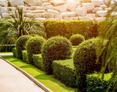 Tropikal Bahçe lüks manzara tasarımı. Güzel bir tropik bahçe manzarası.