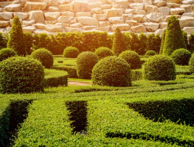 Tropikal Bahçe lüks manzara tasarımı. Güzel bir tropik bahçe manzarası.