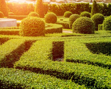 Tropikal Bahçe lüks manzara tasarımı. Güzel bir tropik bahçe manzarası.