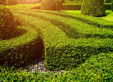 Tropikal Bahçe lüks manzara tasarımı. Güzel bir tropik bahçe manzarası.