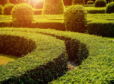 Tropikal Bahçe lüks manzara tasarımı. Güzel bir tropik bahçe manzarası.