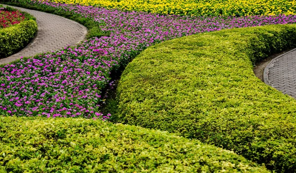 热带花园的豪华景观设计 美丽的风景热带花园 — 图库照片