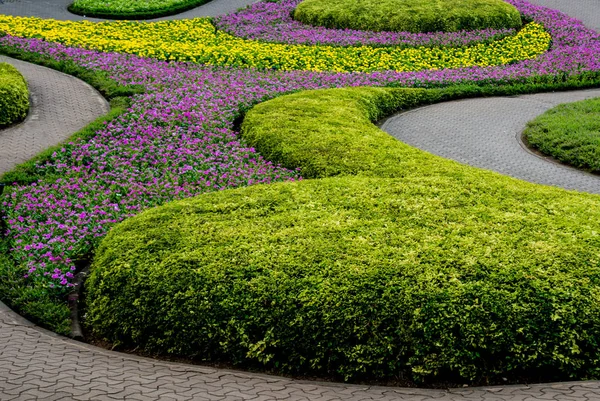 정원의 디자인입니다 다운된 정원의 — 스톡 사진