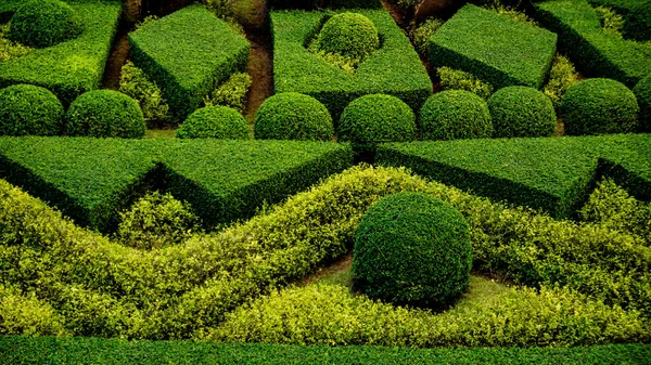 Luxuriöse Landschaftsgestaltung Des Tropischen Gartens Schöne Aussicht Auf Gepflegten Tropischen — Stockfoto