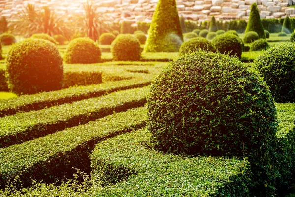 Tropikal Bahçe lüks manzara tasarımı. Güzel bir tropik bahçe manzarası.