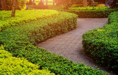 Tropikal Bahçe lüks manzara tasarımı. Güzel bir tropik bahçe manzarası.