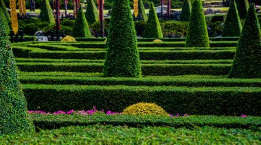 Tropikal Bahçe lüks manzara tasarımı. Güzel bir tropik bahçe manzarası.