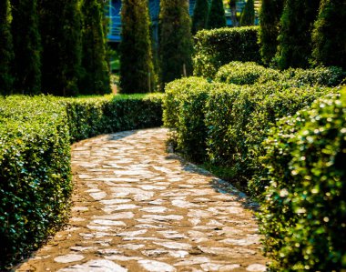 Tropikal Bahçe lüks manzara tasarımı. Güzel bir tropik bahçe manzarası.