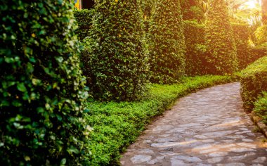 Tropikal Bahçe lüks manzara tasarımı. Güzel bir tropik bahçe manzarası.