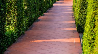 Tropikal Bahçe lüks manzara tasarımı. Güzel bir tropik bahçe manzarası.