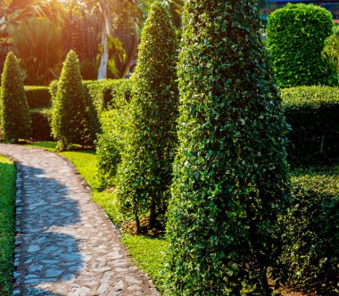 Tropikal Bahçe lüks manzara tasarımı. Güzel bir tropik bahçe manzarası.