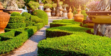 Tropikal Bahçe lüks manzara tasarımı. Güzel bir tropik bahçe manzarası.