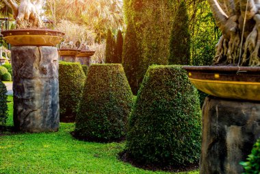 Tropikal Bahçe lüks manzara tasarımı. Güzel bir tropik bahçe manzarası.