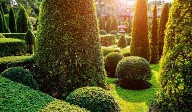 Tropikal Bahçe lüks manzara tasarımı. Güzel bir tropik bahçe manzarası.
