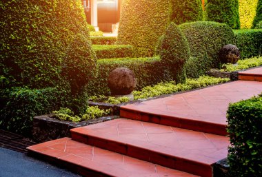 Tropikal Bahçe lüks manzara tasarımı. Güzel bir tropik bahçe manzarası.