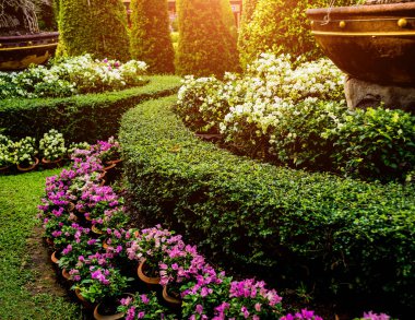 Tropikal Bahçe lüks manzara tasarımı. Güzel bir tropik bahçe manzarası.