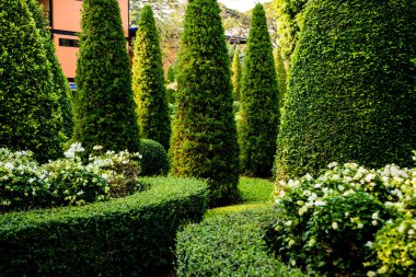 Tropikal Bahçe lüks manzara tasarımı. Güzel bir tropik bahçe manzarası.